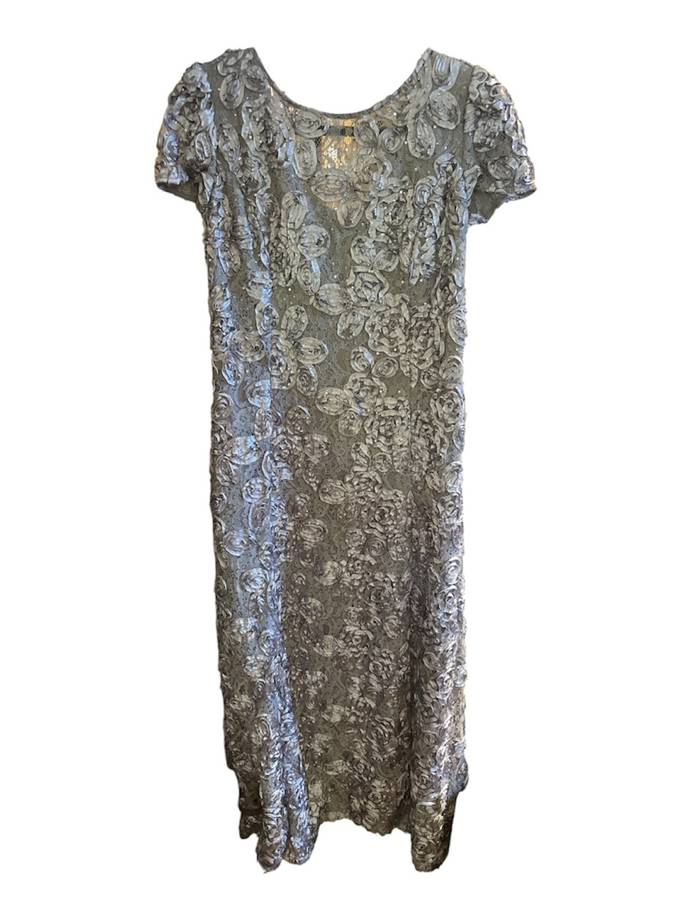 Alex Evenings Silver Floral Lace Evening Dress